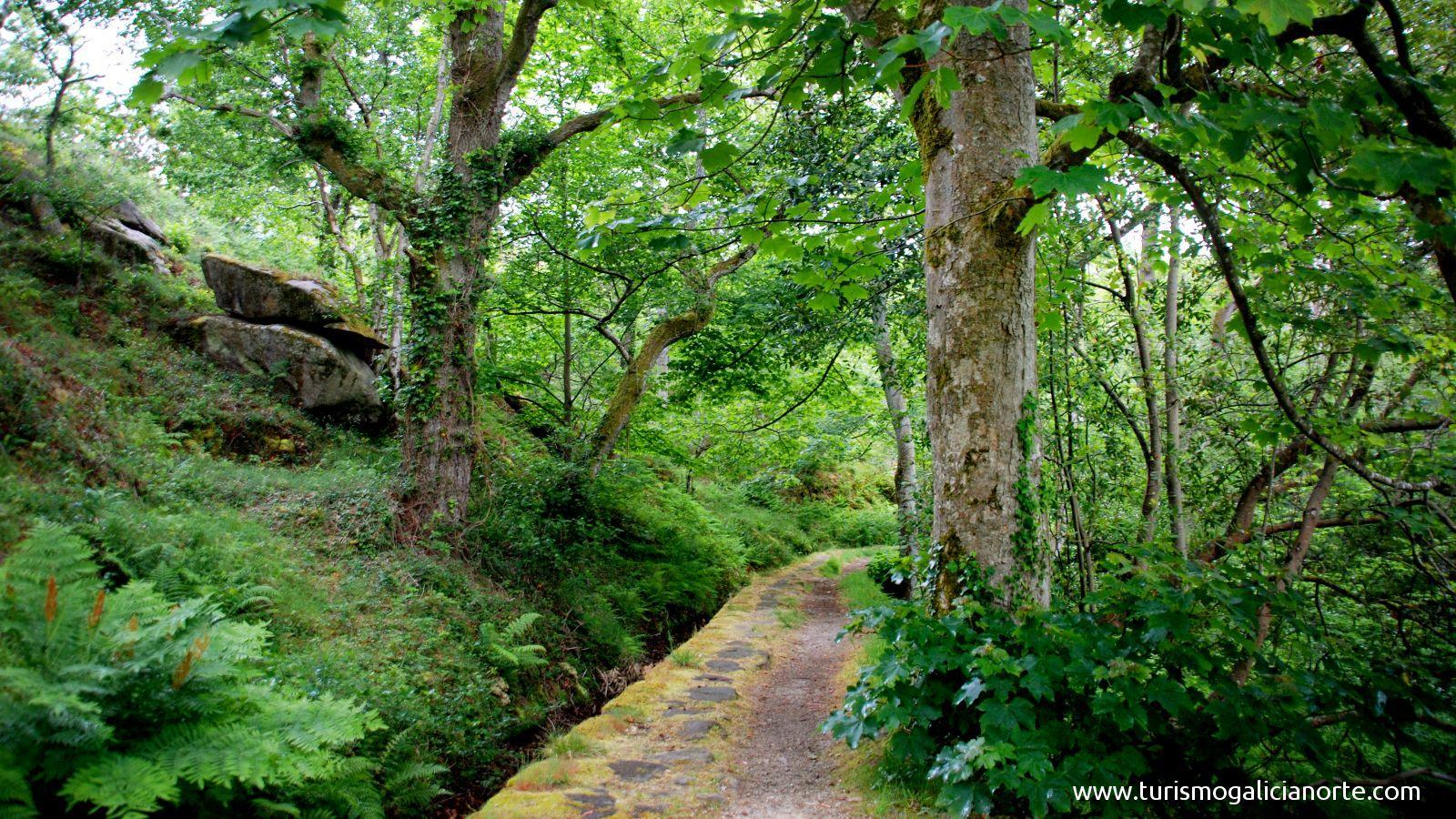 Hotel Vila Do Val O Valadouro Bagian luar foto